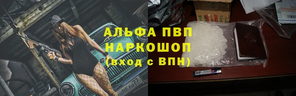 стаф Сатка