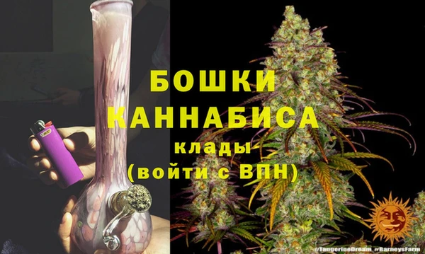 ГАЛЛЮЦИНОГЕННЫЕ ГРИБЫ Балабаново
