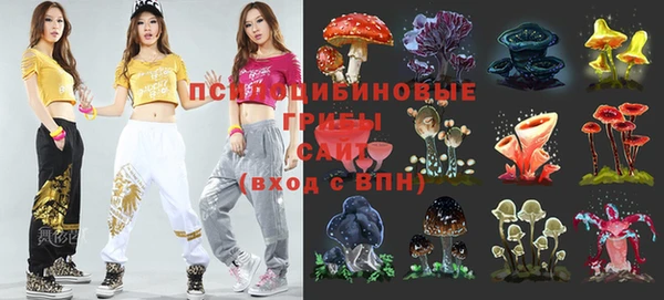 ГАЛЛЮЦИНОГЕННЫЕ ГРИБЫ Балабаново
