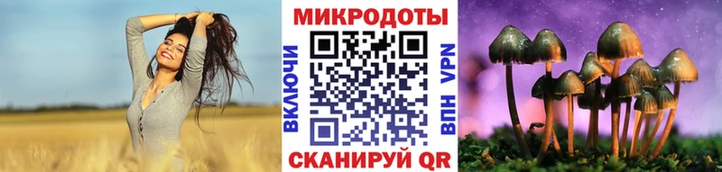 где купить   гидра онион  Псилоцибиновые грибы мицелий  Курганинск 